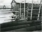 Västerås, Munkängen.
Kalle Kindell och Kalle Johansson lastar stolpar, 1950.