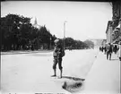 Karl Johans gate med Kungliga slottet i bakgrunden, Oslo, Norge