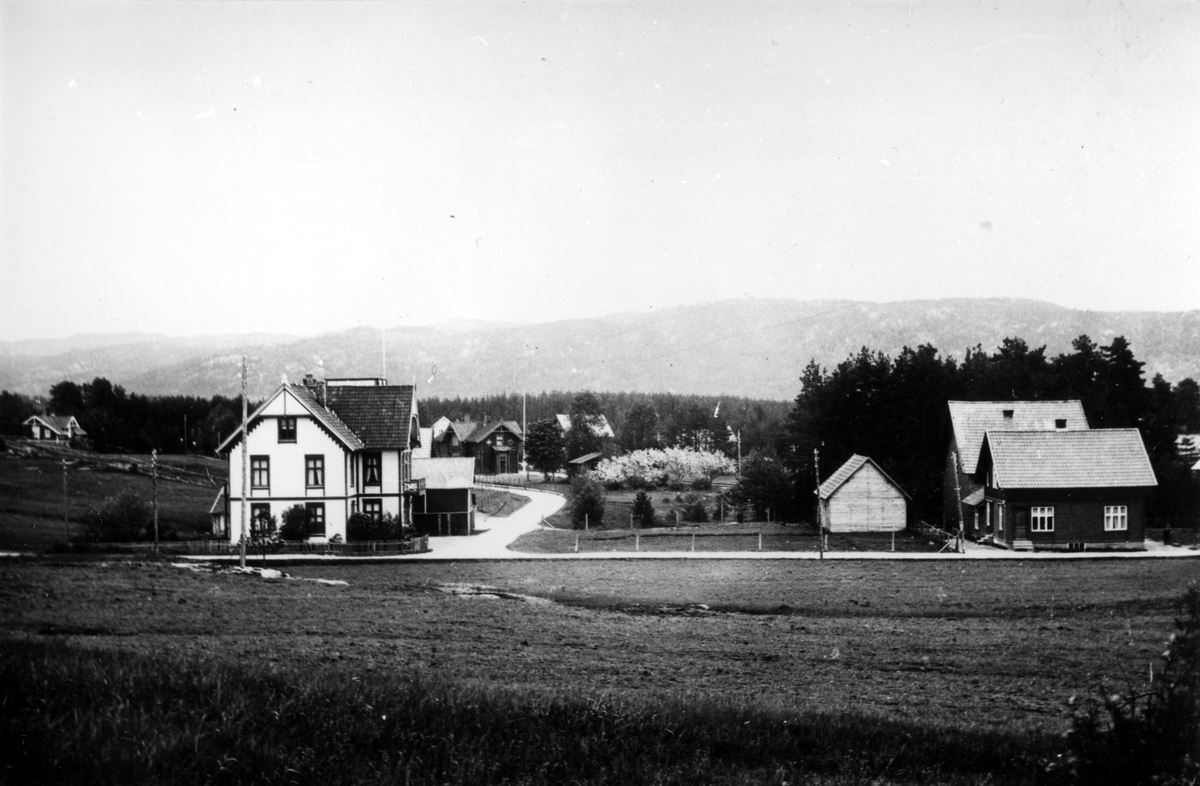 Setesdalsbanen.  Hornnes hotell, Hornnes stasjon i bakgrunnen.