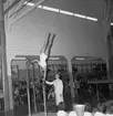 Gymnastikuppvisning i idrotthuset i Huskvarna år 1957. Ledaren är gymnastikdirektör Karin