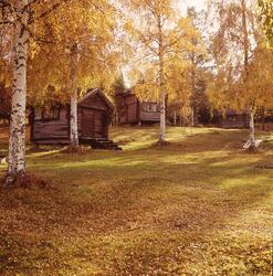 Gäststugor - härbren - ligger i skogsbrynet alldeles intill
