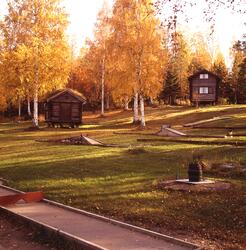 Gäststugor - härbren - och minigolfbanor är belägna i skogsb