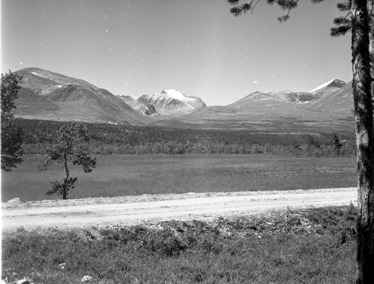 utsikt over fjell og dal