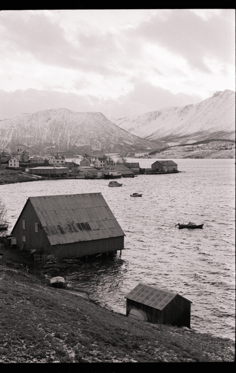 Landskap og bebyggelse på Borkenes. Brygge i forgrunnen.