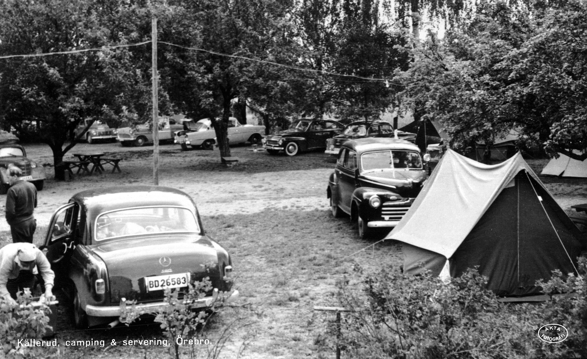 Camping, servering, bilar, tält