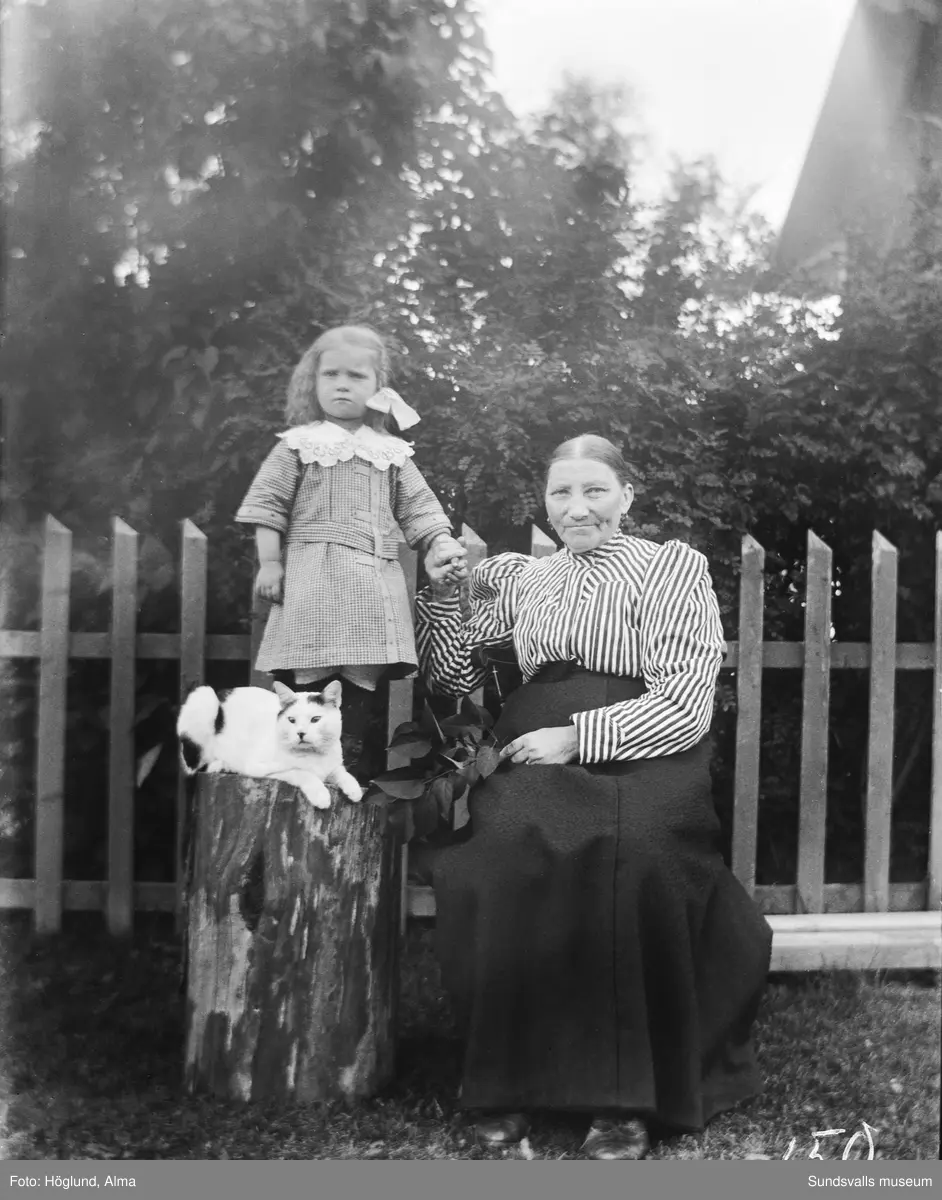 Tre bilder med familjen Lundgren i Ede, Stöde. På första bilden står Henrik Lundgren längst till höger, intill honom hans mor Kristina Lundgren och i mitten dottern Stina. Andra bilden samma personer samt en katt och på tredje bilden Kristina med sondottern Stina och katten.