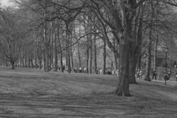 Maratonlopp genom Slottsparken. Vid Bastion Carolus.