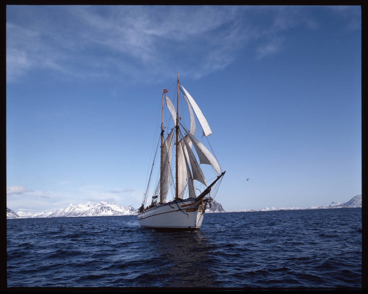 "Anna Rogde" for fulle seil.