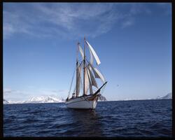 "Anna Rogde" for fulle seil.