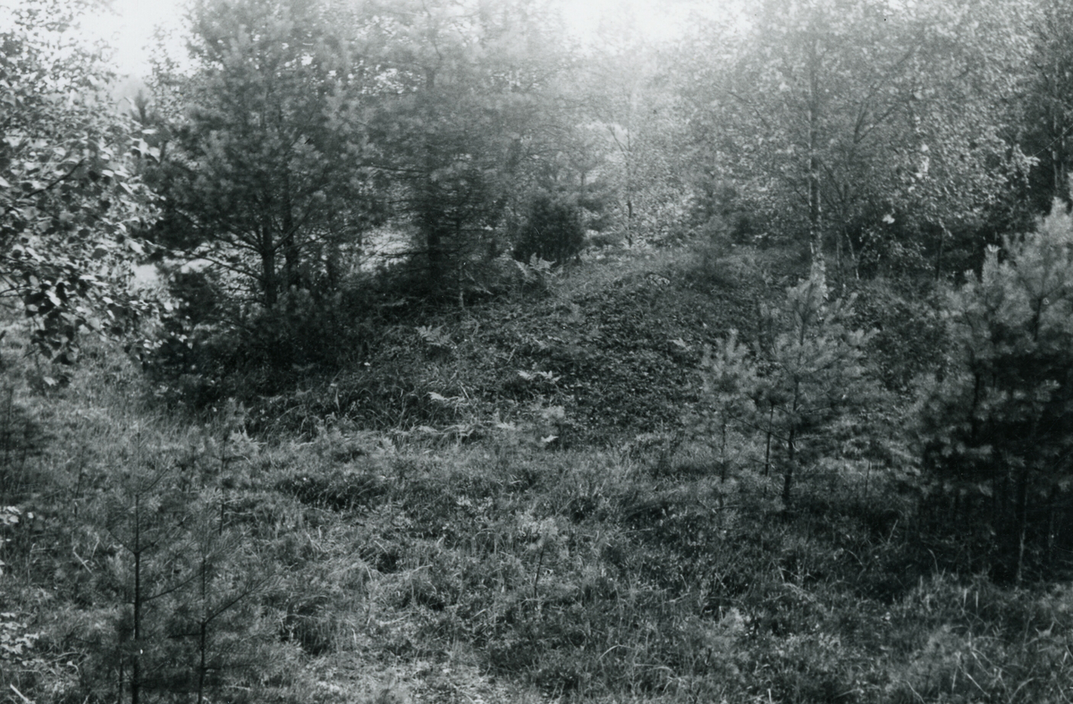 Gravhaug på Briskemoen under Nordagutu