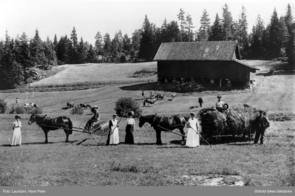 Høyonn på Øre i Moss,  slåmaskin og høyvogn, hester. I bakgrunnen kyr på beite og uthus. Gruppe med voksne og barn.