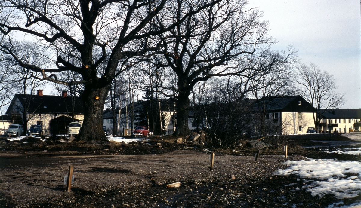 Skäggetorp är en stadsdel i Linköping. Den uppfördes på 1960- 1970-talet. Bebyggelsen är både bostadsrätter och hyreshus som alla är uppbyggda runt ett stort centrum. Här finns affärer, kontorshus, bibliotek, kyrka m.m. Kulturhuset Agora, som ligger i Skäggetorp, invigdes 2019. Där finns bl.a. bibliotek och plats för kreativitet som konst.