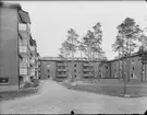 JOHANNESFRED, STUREBY (BANDHAGEN), BLACKEBERG LEKSTUGA