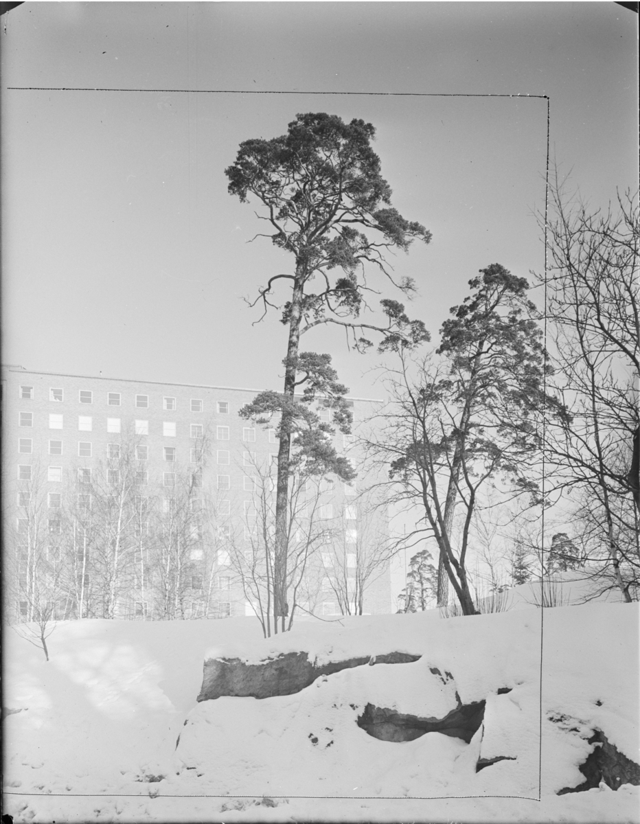 KAROLINSKA SJUKHUSETS BARNSPYKIATRISKA AVD
EXTERIÖR