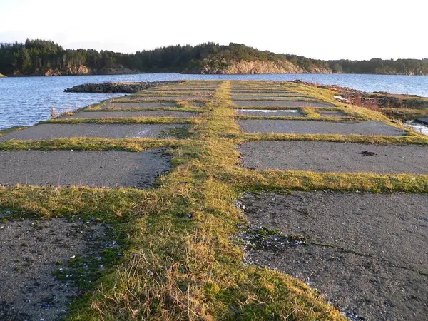Restar av rullebana på Herdla