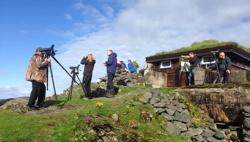 Bilde av fuglekikkarar med store kameralinser.
