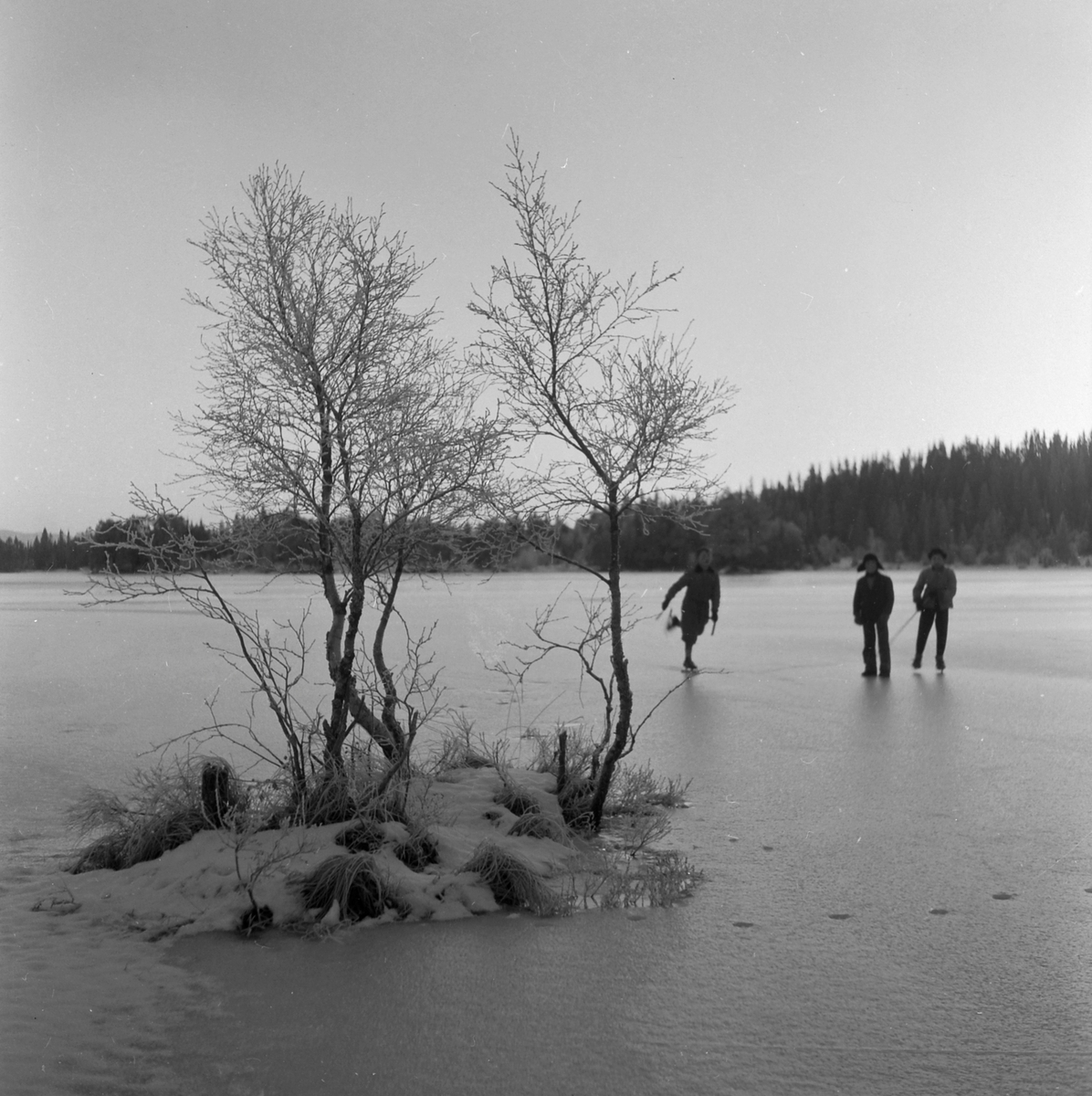 Skøyteløpere på Lianvannet