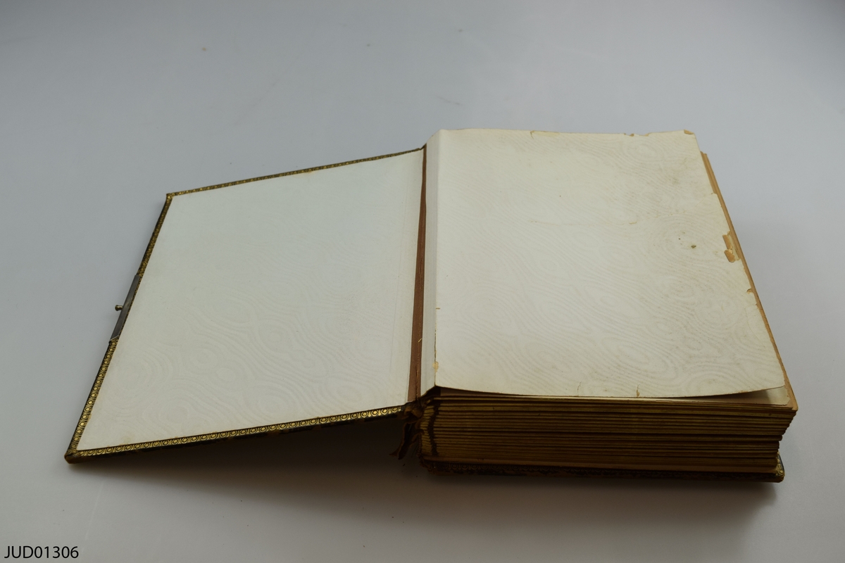 Fotoalbum i skinn med guld- och metalldekor. Porträtt i visitkorts- och kabinettsformat.