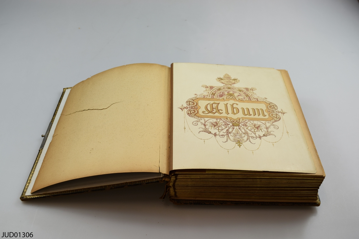 Fotoalbum i skinn med guld- och metalldekor. Porträtt i visitkorts- och kabinettsformat.