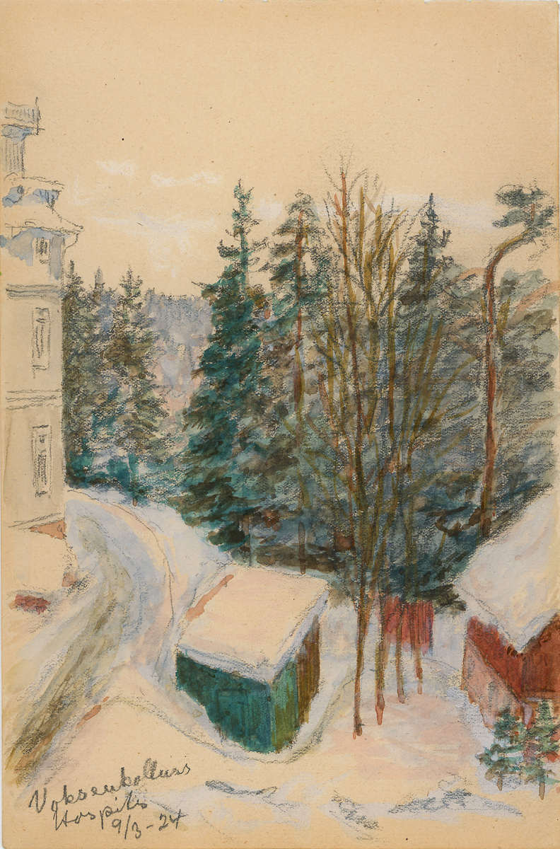 natur, arkitektur, hospits, bygning, landskap, trær, vinter