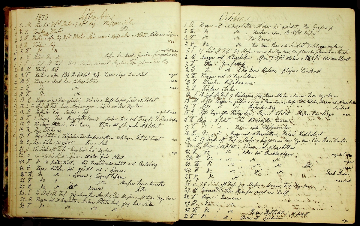 Bondedagbok förd av Anders Persson, från år 1872, och hans son Johan Andersson, från åren 1888-1900, på gården Tomtas. 
Innehåller anteckningar om bl.a. jordbruksarbete, väderlek och resor.