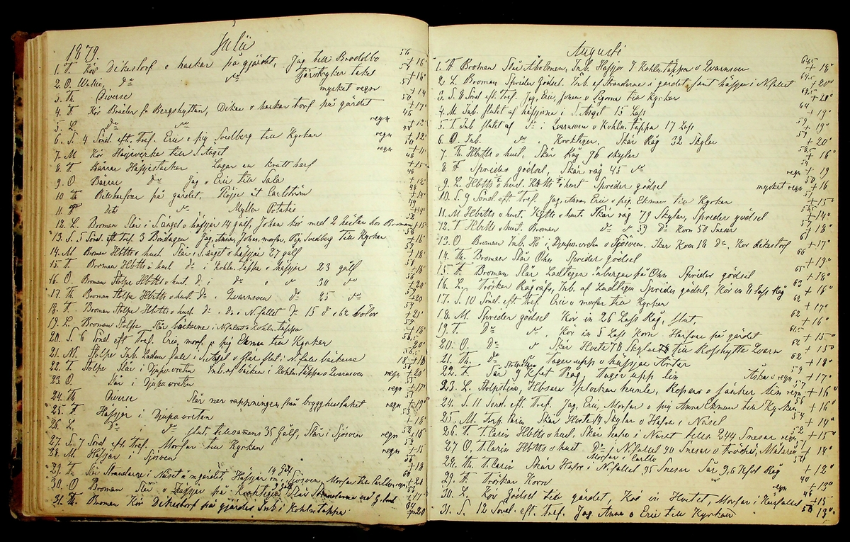 Bondedagbok förd av Anders Persson, från år 1872, och hans son Johan Andersson, från åren 1888-1900, på gården Tomtas. 
Innehåller anteckningar om bl.a. jordbruksarbete, väderlek och resor.