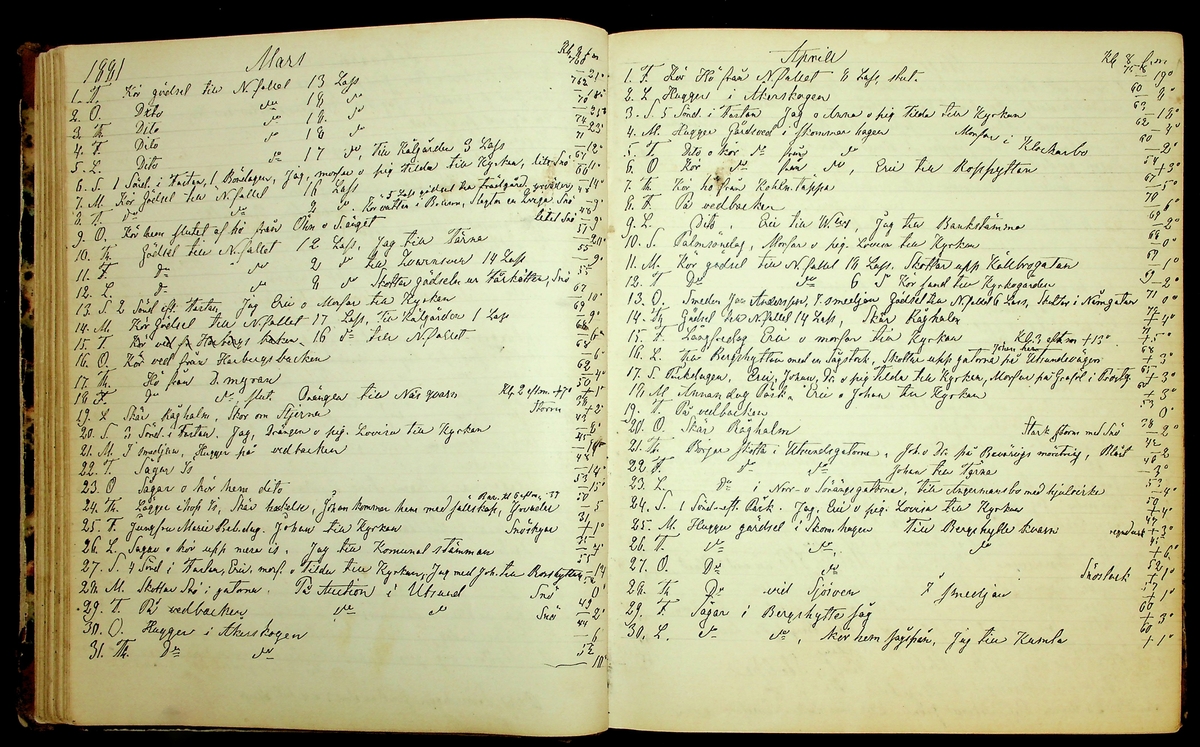 Bondedagbok förd av Anders Persson, från år 1872, och hans son Johan Andersson, från åren 1888-1900, på gården Tomtas. 
Innehåller anteckningar om bl.a. jordbruksarbete, väderlek och resor.