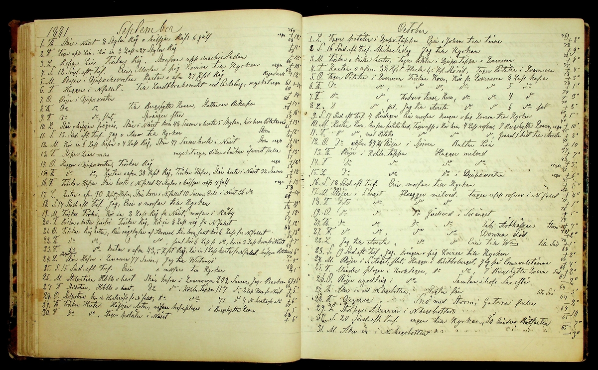 Bondedagbok förd av Anders Persson, från år 1872, och hans son Johan Andersson, från åren 1888-1900, på gården Tomtas. 
Innehåller anteckningar om bl.a. jordbruksarbete, väderlek och resor.