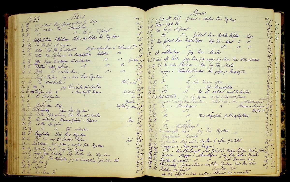 Bondedagbok förd av Anders Persson, från år 1872, och hans son Johan Andersson, från åren 1888-1900, på gården Tomtas. 
Innehåller anteckningar om bl.a. jordbruksarbete, väderlek och resor.