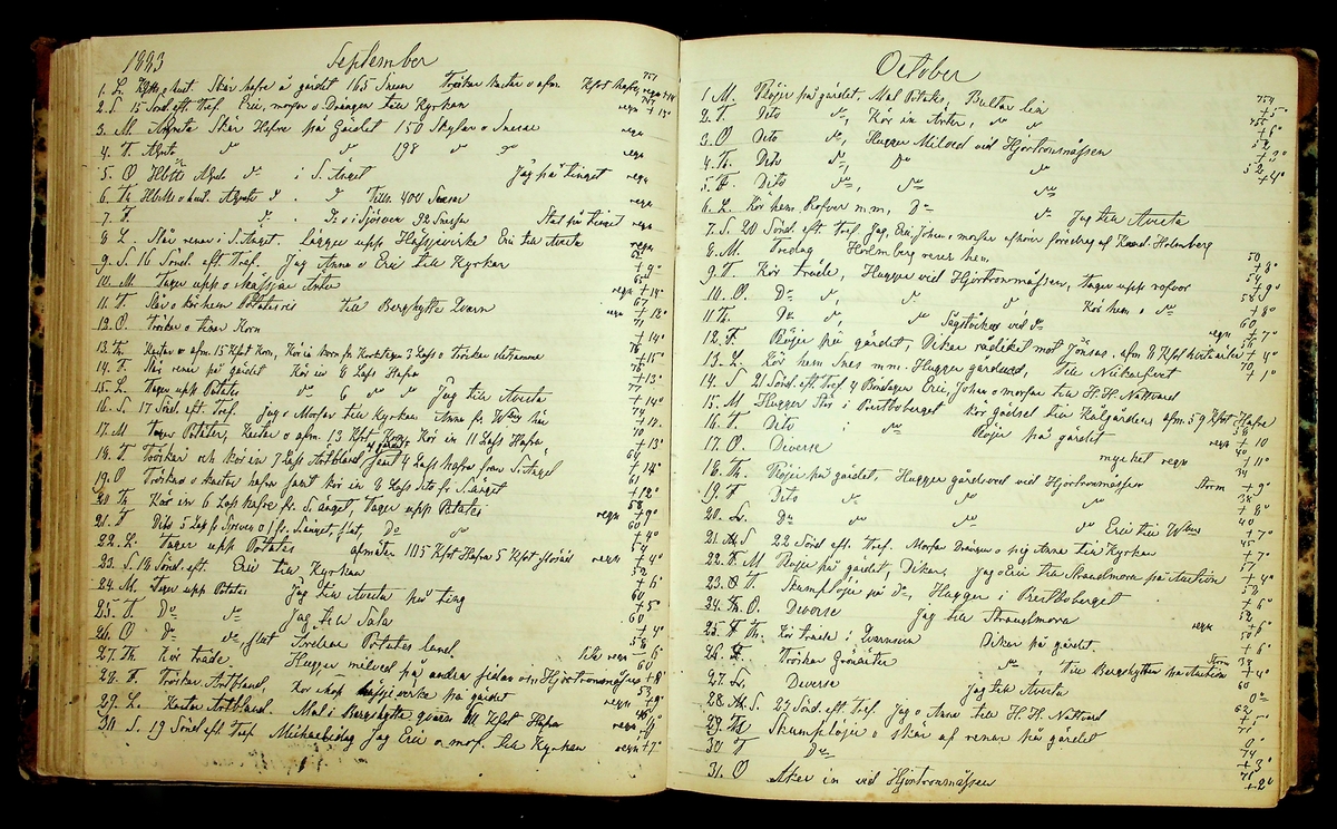 Bondedagbok förd av Anders Persson, från år 1872, och hans son Johan Andersson, från åren 1888-1900, på gården Tomtas. 
Innehåller anteckningar om bl.a. jordbruksarbete, väderlek och resor.