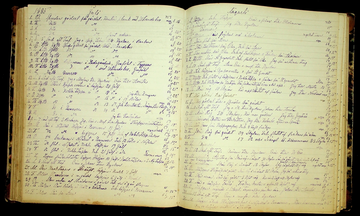 Bondedagbok förd av Anders Persson, från år 1872, och hans son Johan Andersson, från åren 1888-1900, på gården Tomtas. 
Innehåller anteckningar om bl.a. jordbruksarbete, väderlek och resor.