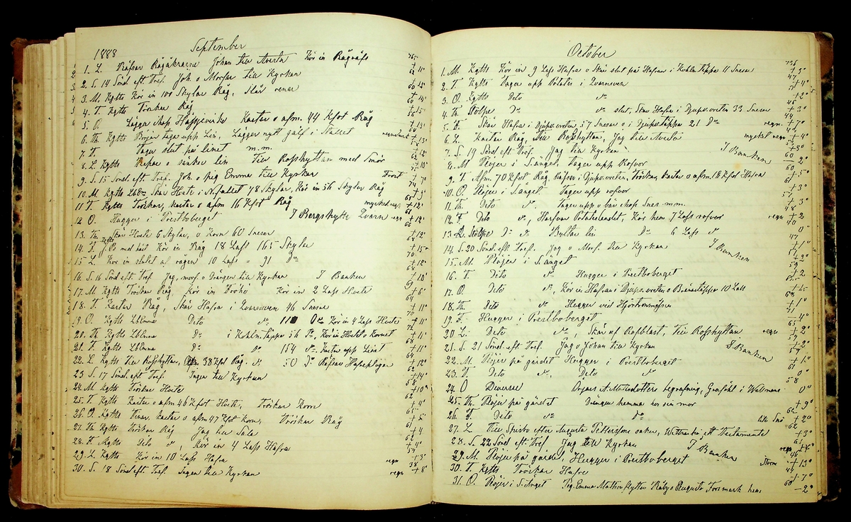 Bondedagbok förd av Anders Persson, från år 1872, och hans son Johan Andersson, från åren 1888-1900, på gården Tomtas. 
Innehåller anteckningar om bl.a. jordbruksarbete, väderlek och resor.