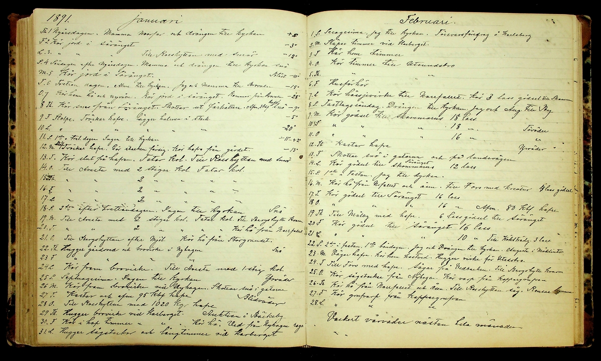 Bondedagbok förd av Anders Persson, från år 1872, och hans son Johan Andersson, från åren 1888-1900, på gården Tomtas. 
Innehåller anteckningar om bl.a. jordbruksarbete, väderlek och resor.