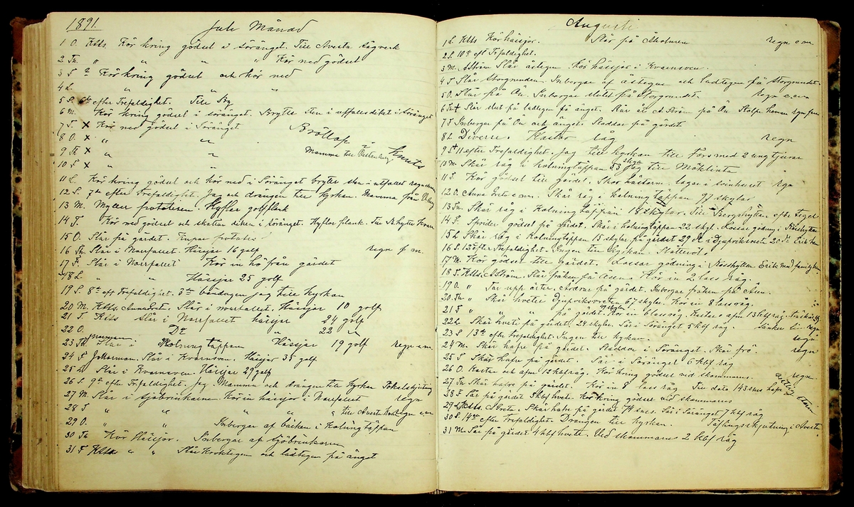 Bondedagbok förd av Anders Persson, från år 1872, och hans son Johan Andersson, från åren 1888-1900, på gården Tomtas. 
Innehåller anteckningar om bl.a. jordbruksarbete, väderlek och resor.