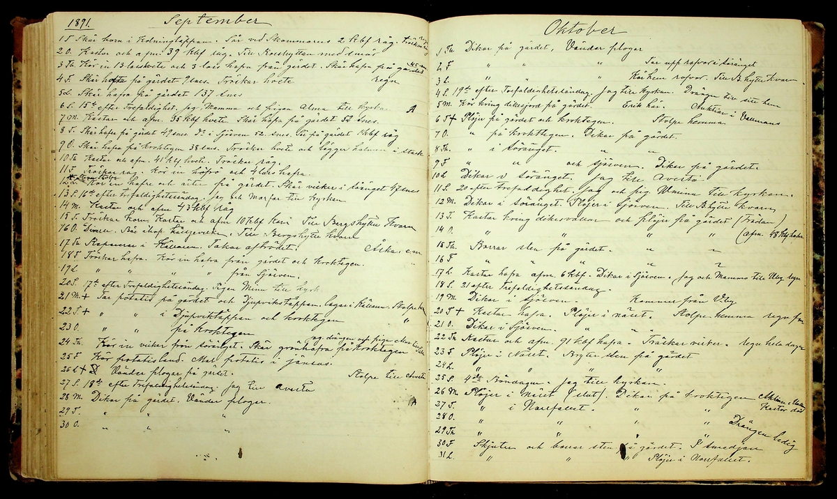 Bondedagbok förd av Anders Persson, från år 1872, och hans son Johan Andersson, från åren 1888-1900, på gården Tomtas. 
Innehåller anteckningar om bl.a. jordbruksarbete, väderlek och resor.