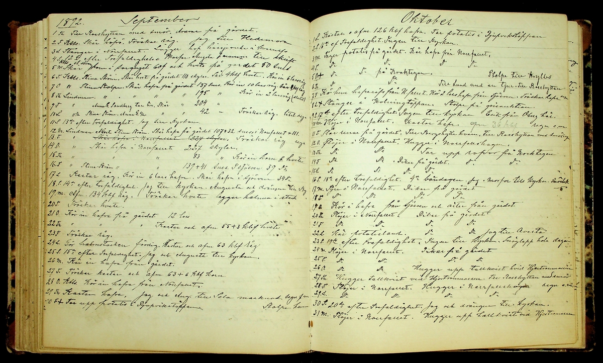 Bondedagbok förd av Anders Persson, från år 1872, och hans son Johan Andersson, från åren 1888-1900, på gården Tomtas. 
Innehåller anteckningar om bl.a. jordbruksarbete, väderlek och resor.