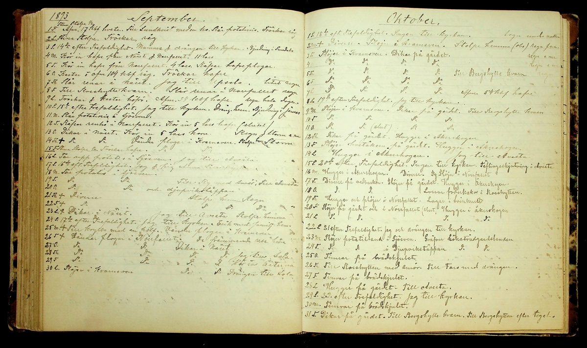 Bondedagbok förd av Anders Persson, från år 1872, och hans son Johan Andersson, från åren 1888-1900, på gården Tomtas. 
Innehåller anteckningar om bl.a. jordbruksarbete, väderlek och resor.