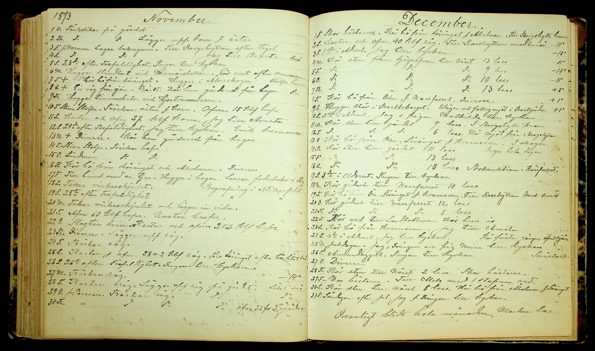 Bondedagbok förd av Anders Persson, från år 1872, och hans son Johan Andersson, från åren 1888-1900, på gården Tomtas. 
Innehåller anteckningar om bl.a. jordbruksarbete, väderlek och resor.