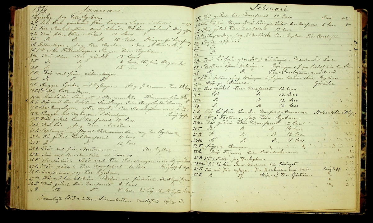 Bondedagbok förd av Anders Persson, från år 1872, och hans son Johan Andersson, från åren 1888-1900, på gården Tomtas. 
Innehåller anteckningar om bl.a. jordbruksarbete, väderlek och resor.