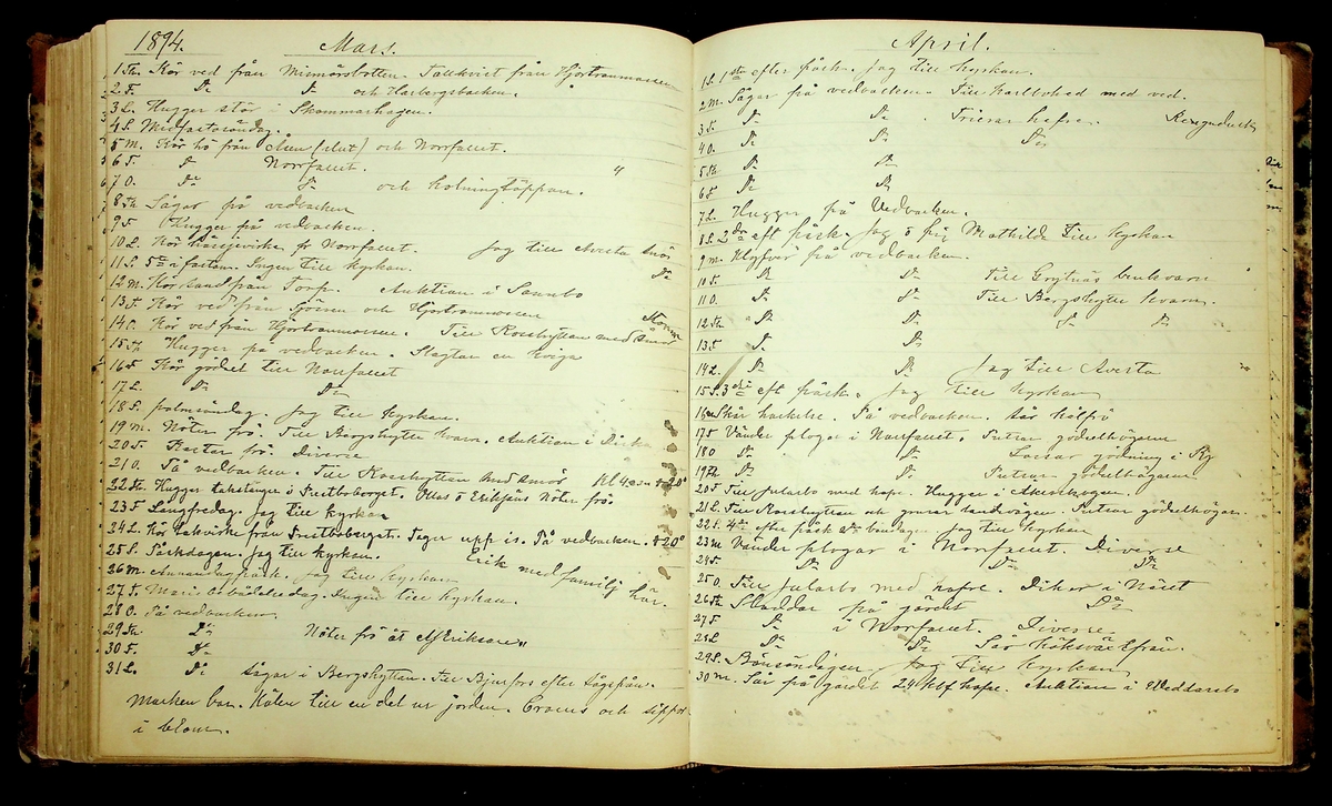 Bondedagbok förd av Anders Persson, från år 1872, och hans son Johan Andersson, från åren 1888-1900, på gården Tomtas. 
Innehåller anteckningar om bl.a. jordbruksarbete, väderlek och resor.