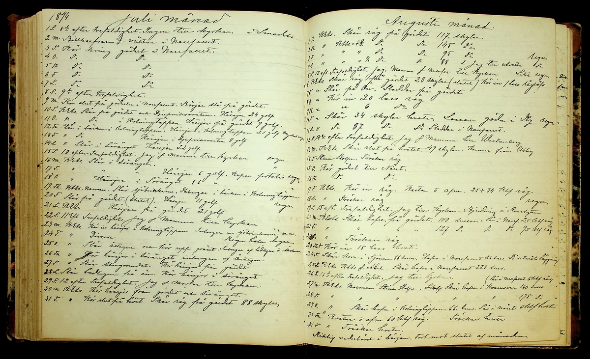 Bondedagbok förd av Anders Persson, från år 1872, och hans son Johan Andersson, från åren 1888-1900, på gården Tomtas. 
Innehåller anteckningar om bl.a. jordbruksarbete, väderlek och resor.