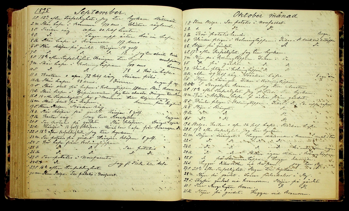 Bondedagbok förd av Anders Persson, från år 1872, och hans son Johan Andersson, från åren 1888-1900, på gården Tomtas. 
Innehåller anteckningar om bl.a. jordbruksarbete, väderlek och resor.