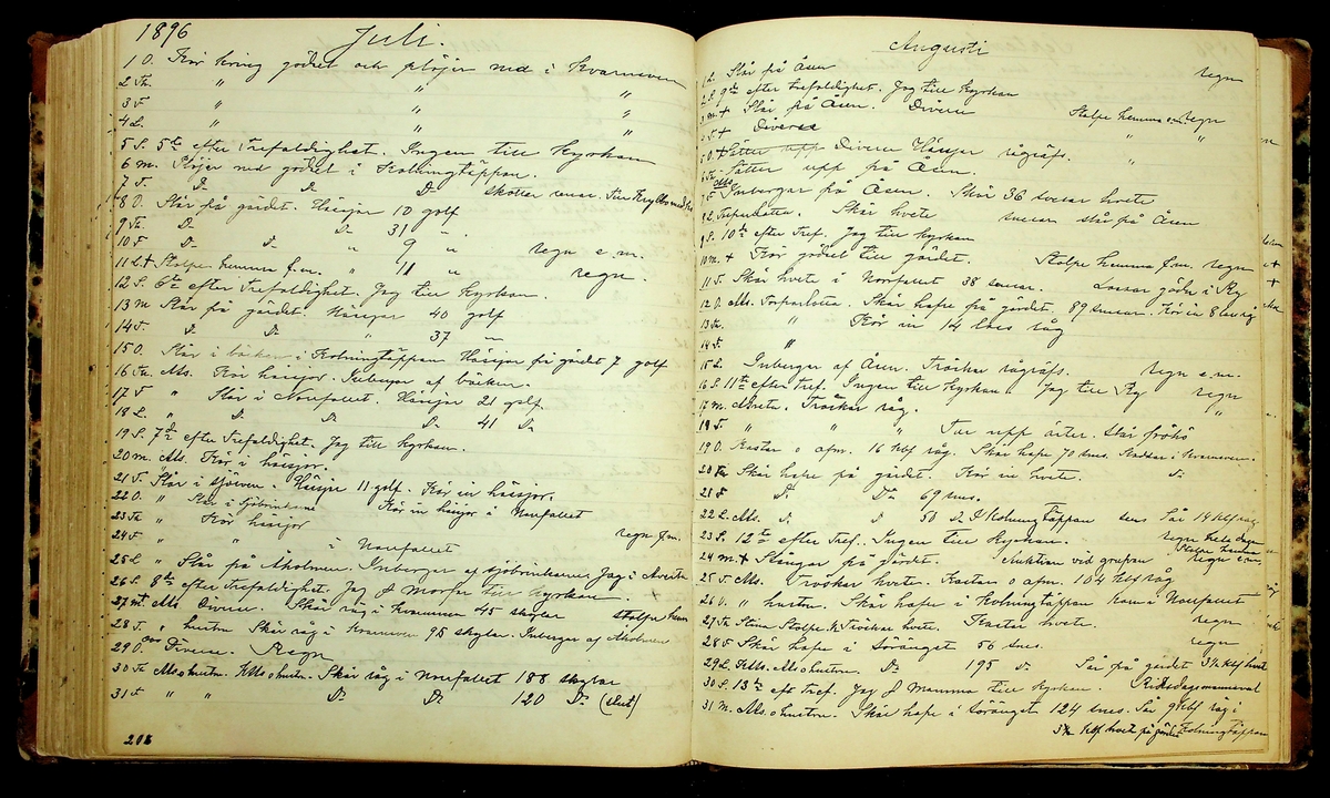 Bondedagbok förd av Anders Persson, från år 1872, och hans son Johan Andersson, från åren 1888-1900, på gården Tomtas. 
Innehåller anteckningar om bl.a. jordbruksarbete, väderlek och resor.