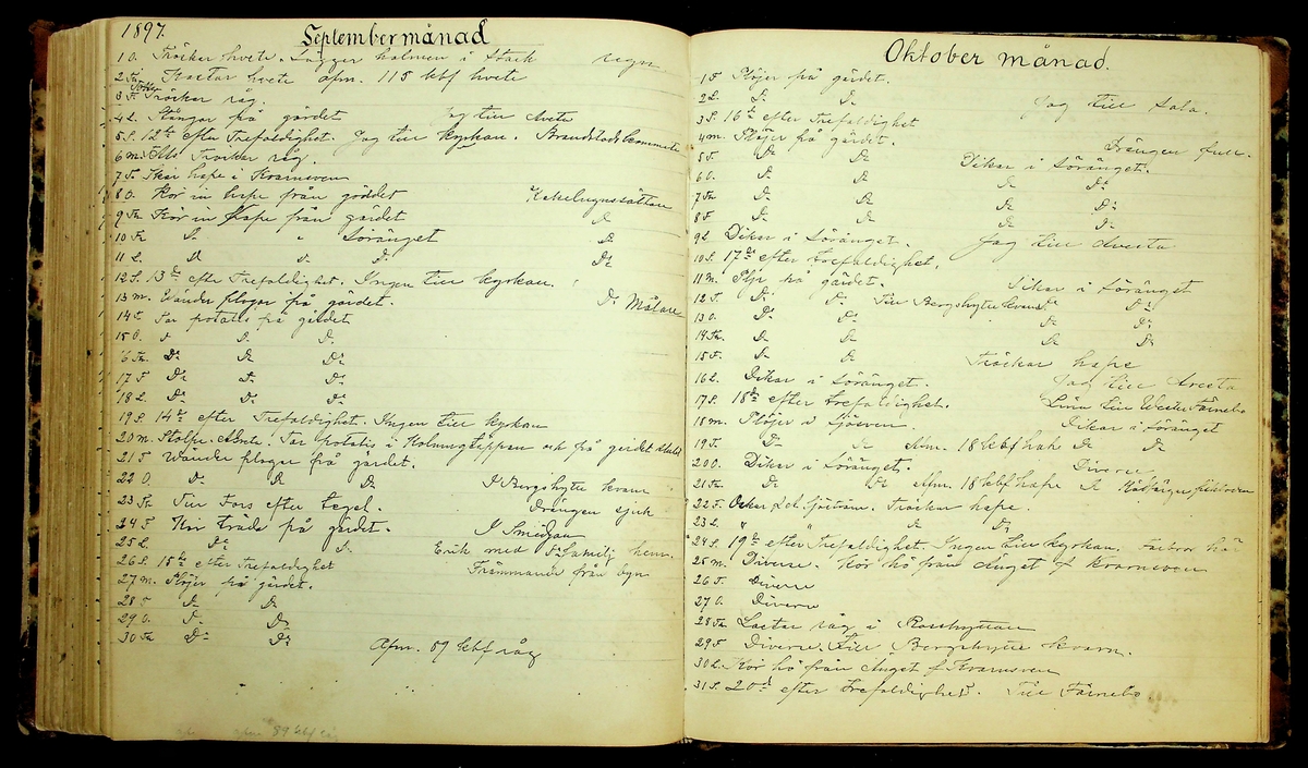 Bondedagbok förd av Anders Persson, från år 1872, och hans son Johan Andersson, från åren 1888-1900, på gården Tomtas. 
Innehåller anteckningar om bl.a. jordbruksarbete, väderlek och resor.