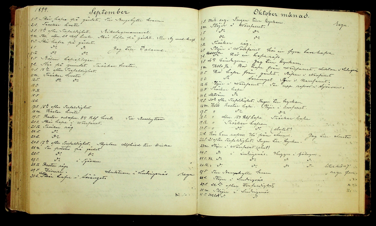 Bondedagbok förd av Anders Persson, från år 1872, och hans son Johan Andersson, från åren 1888-1900, på gården Tomtas. 
Innehåller anteckningar om bl.a. jordbruksarbete, väderlek och resor.