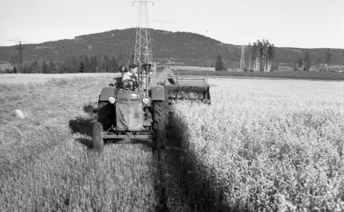 Skuronn med traktor