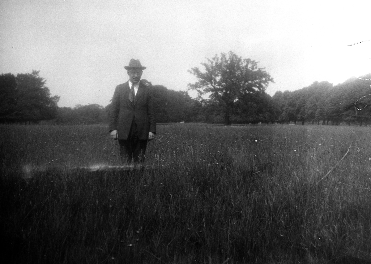 Bilder fra Statens forsøksgård Møystad, Vang.
Trønderhavre på nybrott myr. Det norskemyrselskap forsøksstasjon på Mæresmyra 1908. Myrkonsulent og stasjonsbestyrer Ole Sivertsen Glærum (1877-1966)