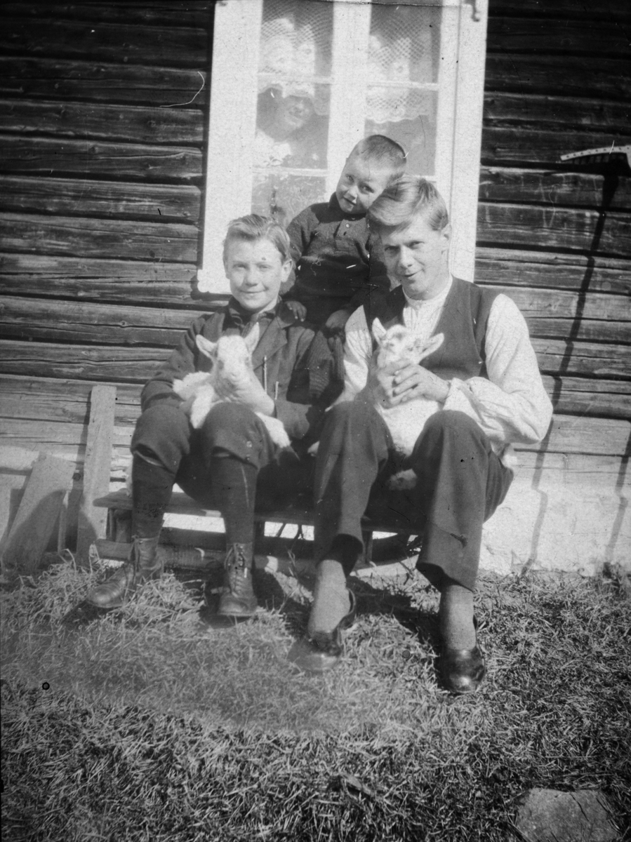 Olstad av Øvre Tomter (60/22).
Brødrene Johan Olstad og Petter Olstad sitter i husveggen i Olstad med hvert sitt lam. Bak står søstersønnen deres Reidar Tomter. 1920-åra.