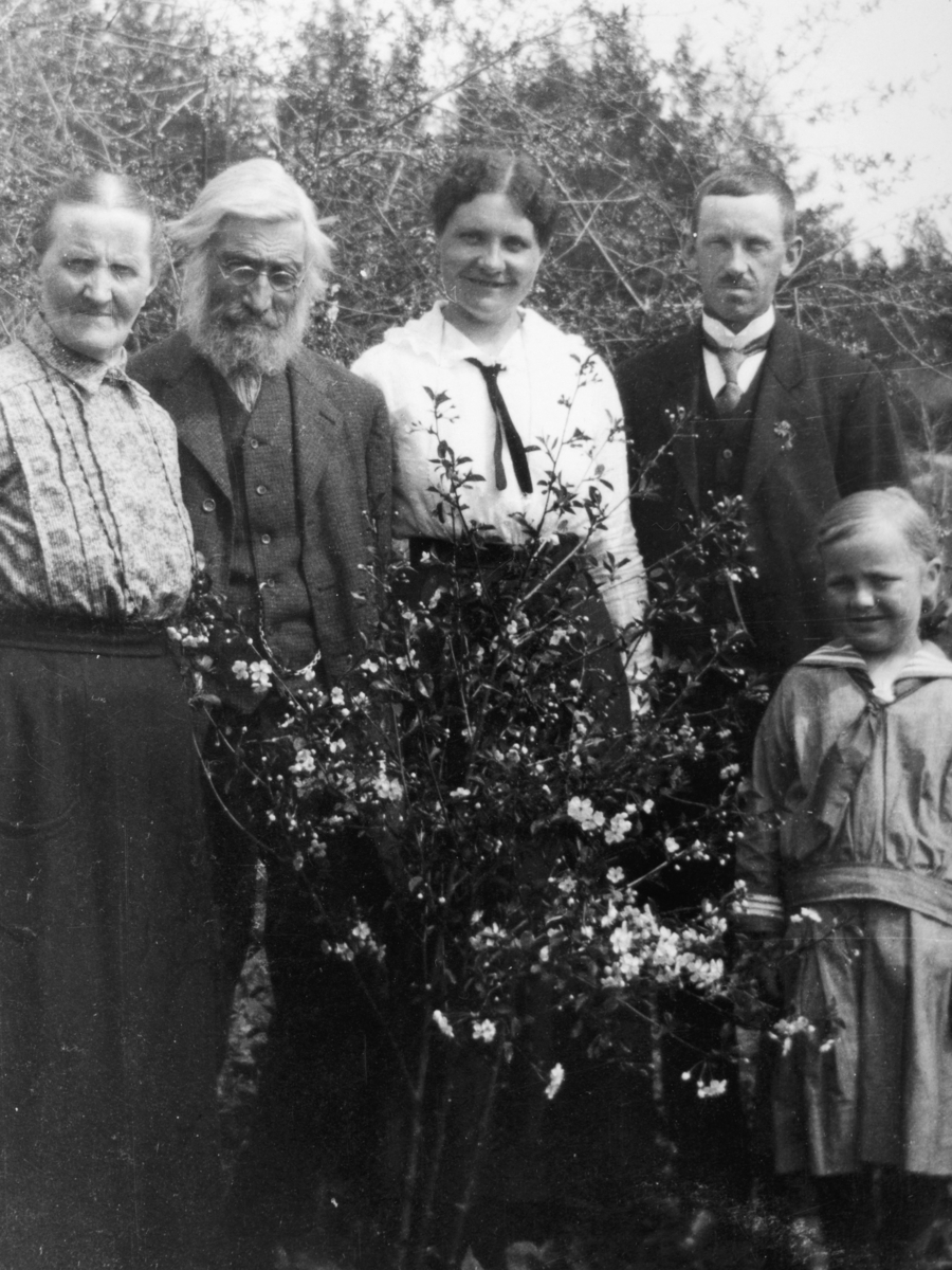 Øvre Tomter (60/1)
Gruppe 5. Fra venstre: Syverines foreldre. Faren var lærer på Nes. Så Syverine Hansen og Halvor Tomter , som giftet seg i 1918. Hun døde i spanskesyken samme året.  Helt til høyre:  Synøve Hansen, niese av Syverine.