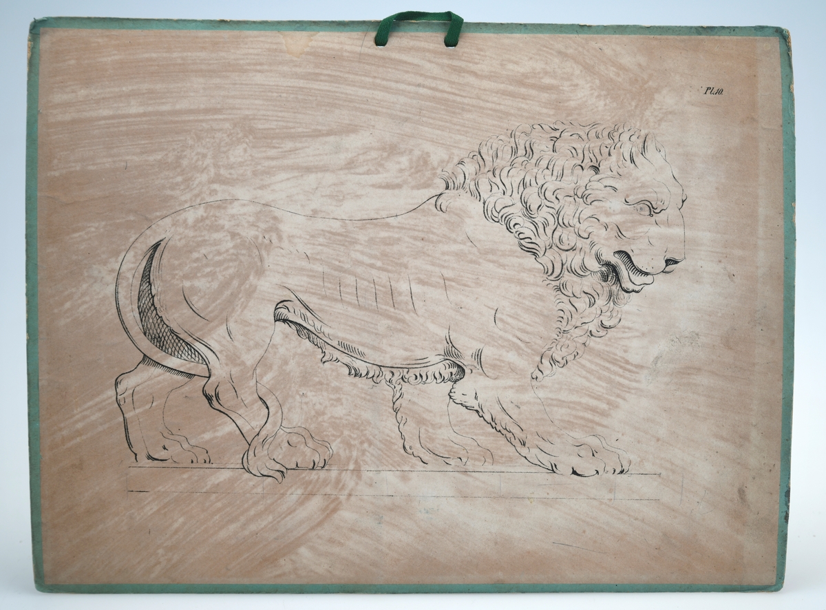 Fem plansjer av papp med ulikt motiv. Det er grønne papplater med to hull for oppheng, Tre av dem har bomullsbånd for oppheng, en har rød hyssing. På papplatene er det limt på papir med trykt motiv. På pairet er det tegnet rutemønster i bakgrunnen. Dette er trolig gjort for å lette arbeidet med å kopiere/tegne av motivet. på noen av plansjene er det også hull etter bruk av passer. Motivene er følgende: 
01: Løve med vinger (også kjent som Markusløven)
02: Akantusranke
03: Akantusranke
04: Detalj på ranke
05: Dobbel akantusranke
06: Løve